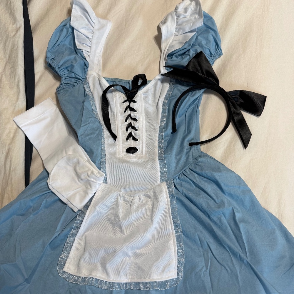 Teen girl/women Alice in Wonderland Costume